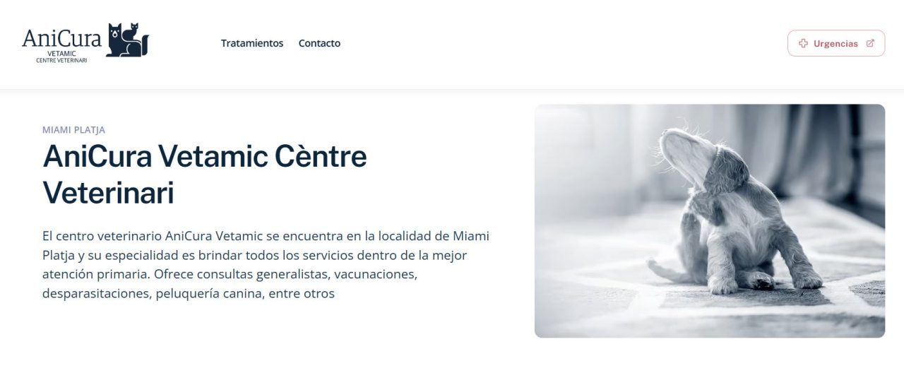 Diseño páginas web para veterinarios